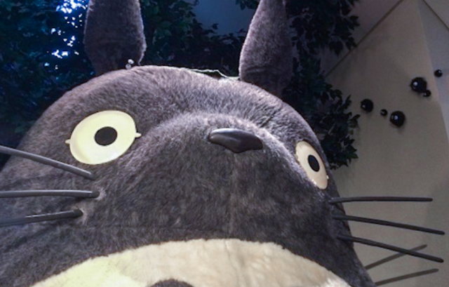 Seorang Pria Kaget saat Menemukan Kerangka Manusia di 'Hutan Totoro'