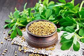 what are the health benefits of fenugreek