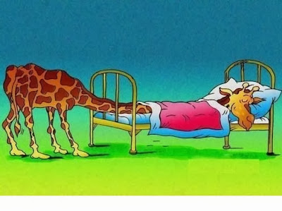 Funny cartoon giraffe picture