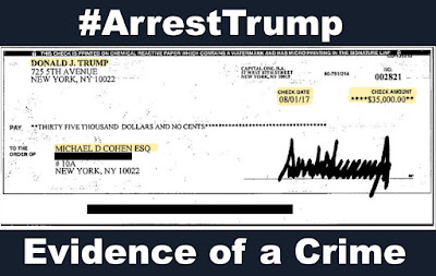 #ArrestTrump - Fraud - Income Tax Evasion - Campaign Finance Violations - Individual-1 and Michael Cohen Conspired... and Mike is In Prison NOW - gvan42