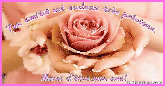 L'amitié est l'un des beaux cadeaux de la vie. Elle nous rend vivants, généreux, nous permet de nous ouvrir à d'autres façons de penser et de réagir. A travers ce dossier, découvrez quelques pistes pour entretenir et cultiver au mieux l'amitié afin qu'elle soit une constante source d'épanouissement.   