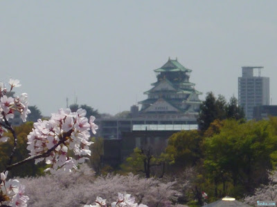 大阪城と桜