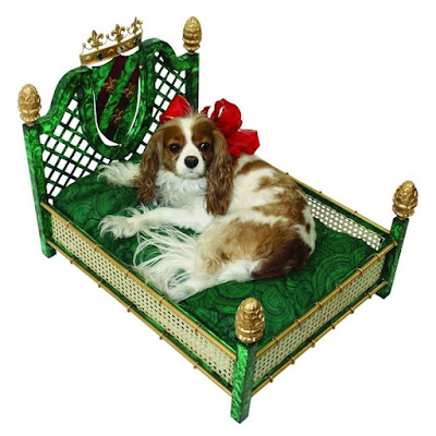 designer dog beds