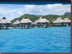 IMG_7977 IMG_7977