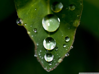 Beautiful HD Water Drops Photos