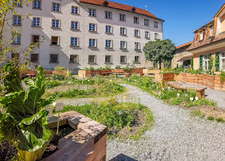 Blick in den neu angelegten Klostergarten St. Gallen.