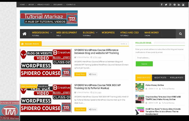 SPIDERO WordPress Course Difference Between Blog Site and Website WP Training