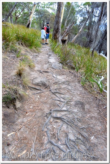 Walk to Grass Point, Bruny Island, TAS ~ How Many More Minutes?