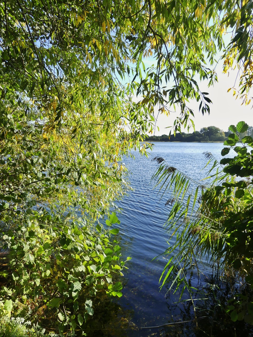 Naturschutzgebiet Strangen