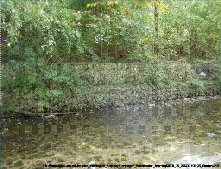 clip_image002