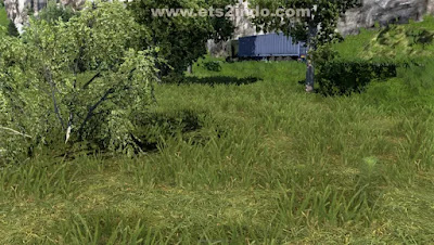 Graphic PNG Vegetation V1.07 ETS2 1.46