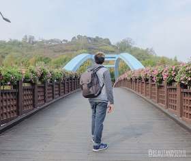 Haneul Park consists of vast grassland; it is covered with eulalias and wild flowers in their most natural state.