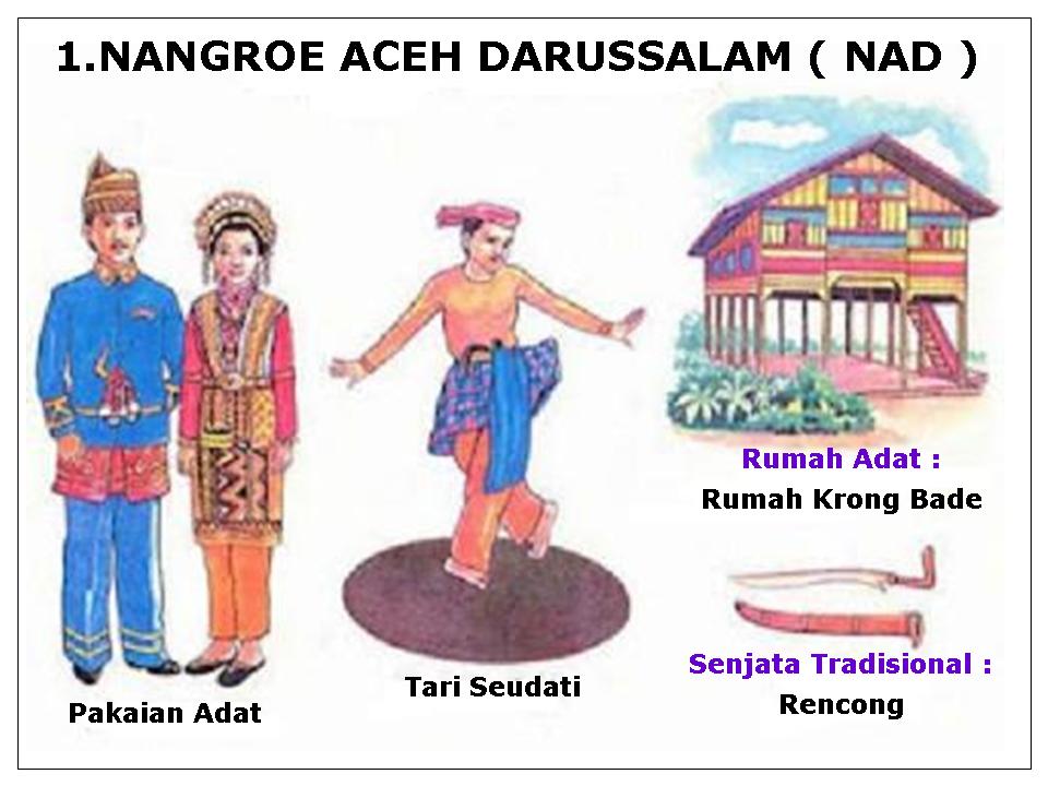 Pakaian, Tarian, Rumah Adat, Senjata Tradisional, dan Sukunya  Ch 