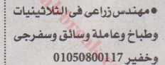 اهم وافضل الوظائف اهرام الجمعة وظائف خلية وظائف شاغرة على عرب بريك