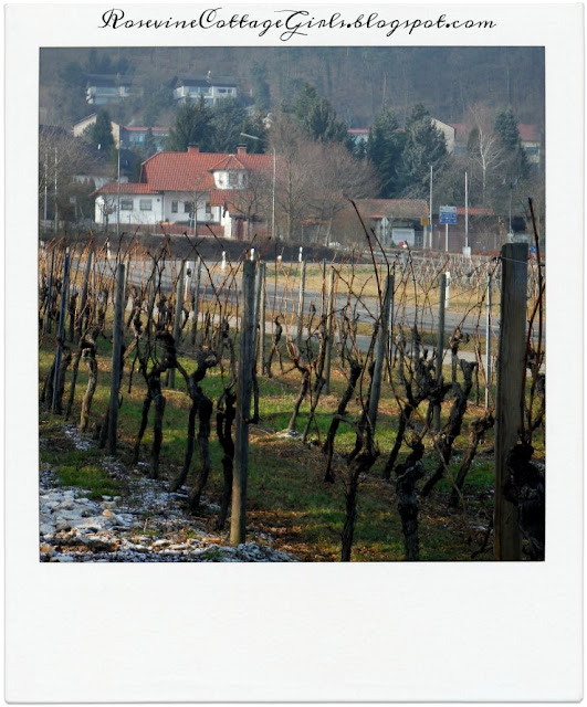 Weisenheim am Berg Germany 