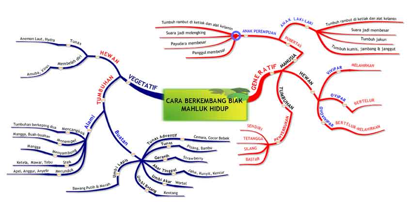 Kumpulan Mind Mapping Materi Pelajaran IPA (SD)