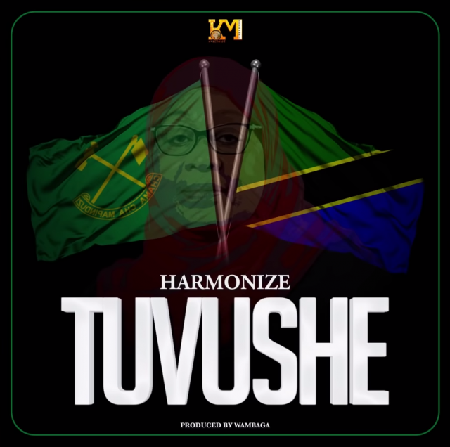 AUDIO | Harmonize – Tuvushe | Download