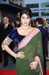 Bollywood celbs at Midnights Children Premiere at 56th BFI London Film Festival