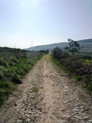 P1000287