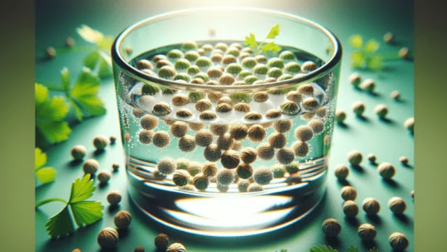 Why You Must Drink Coriander Water if You Are Trying to Lose Weight: 8 Amazing Health Benefits