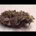 Blue Avatar Weed