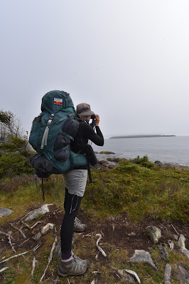 Sonya Richmond birding coast of Newfoundland.