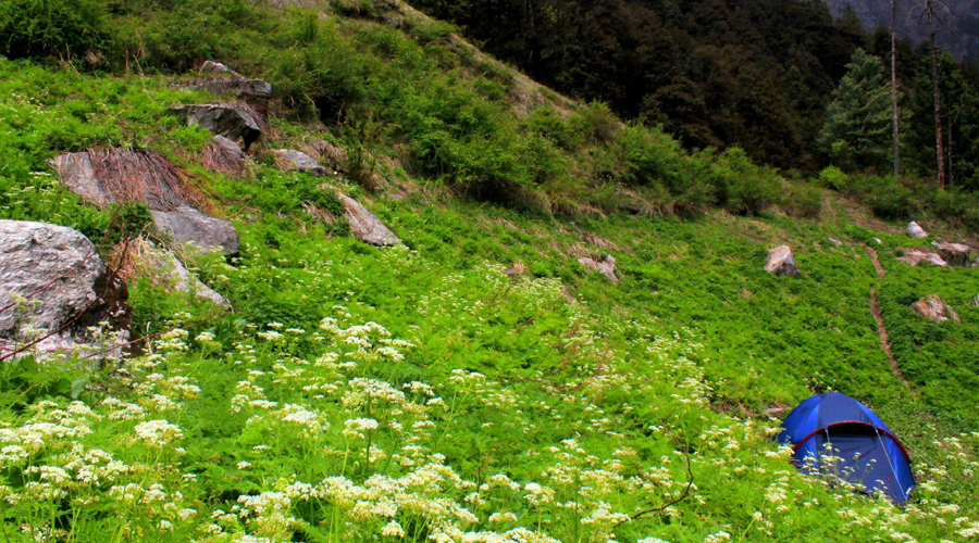 Great Himalayan National Park