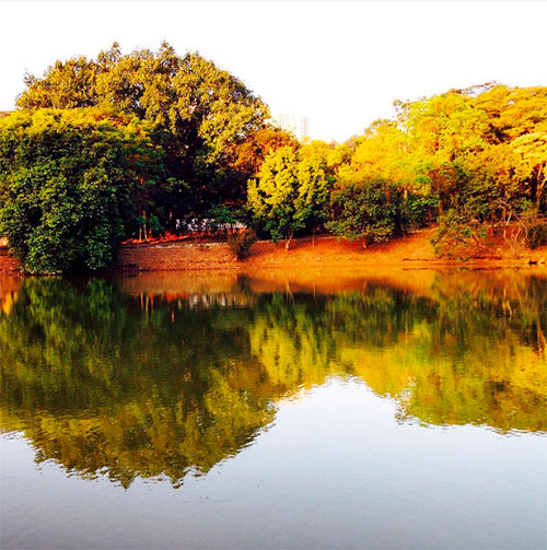 Lago do Parque Chácara do Jockey