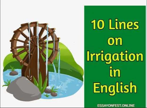 10 Lines on Irrigation in English