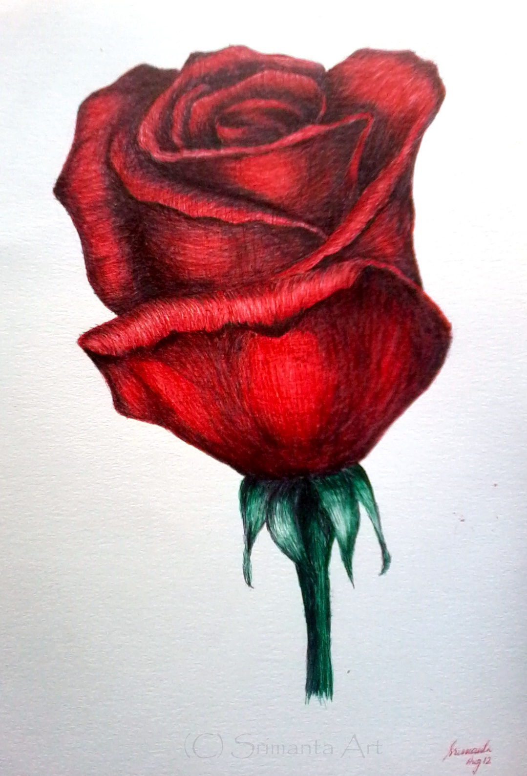 rose drawing red rose drawing rose drawings single red rose drawing ...