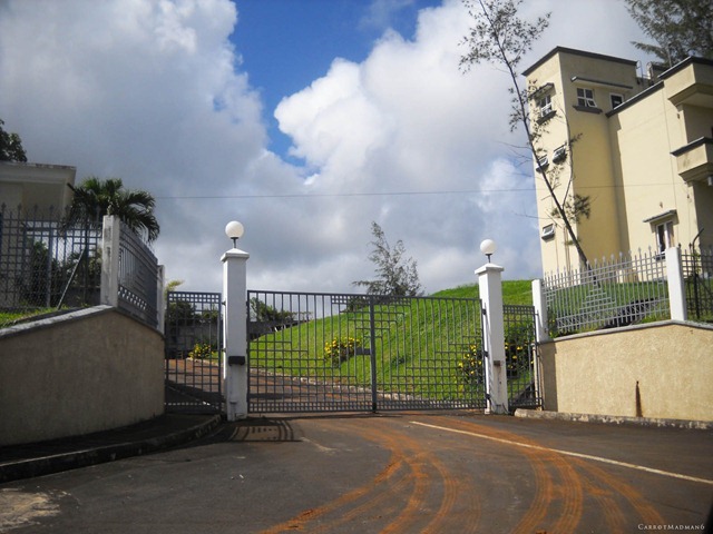 DSCN4122