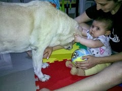IMG-20130825-WA0004