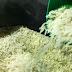 Importação de arroz terá imposto zerado até o final do ano