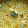 Bahan Bahan Memasak Gulai Aceh - Menggugah Selera Gulai Aceh Dengan Ikan Tongkol Resep Resepkoki - Cara memasak resep gulai patin.