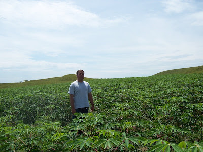 El Salvador: Campo Maya de Cultivo Intensivo de Yuca de 1500 años de antigüedad