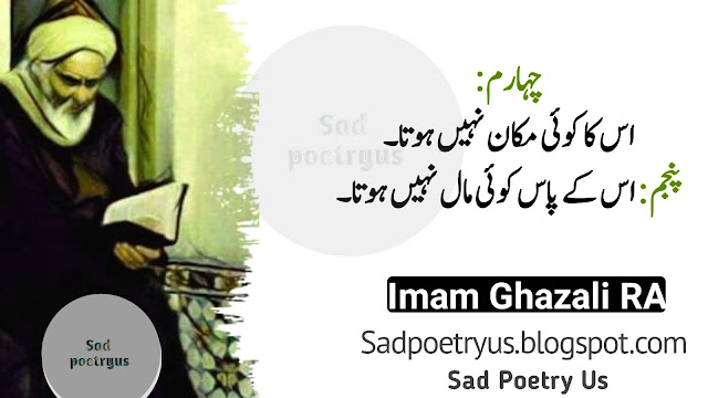 Imam Ghazali Urdu Quotes Lines || Learn Five Habits From A Dog || Educational Philosophy