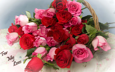 pink-and-red-roses-nice-booke-for-my-love