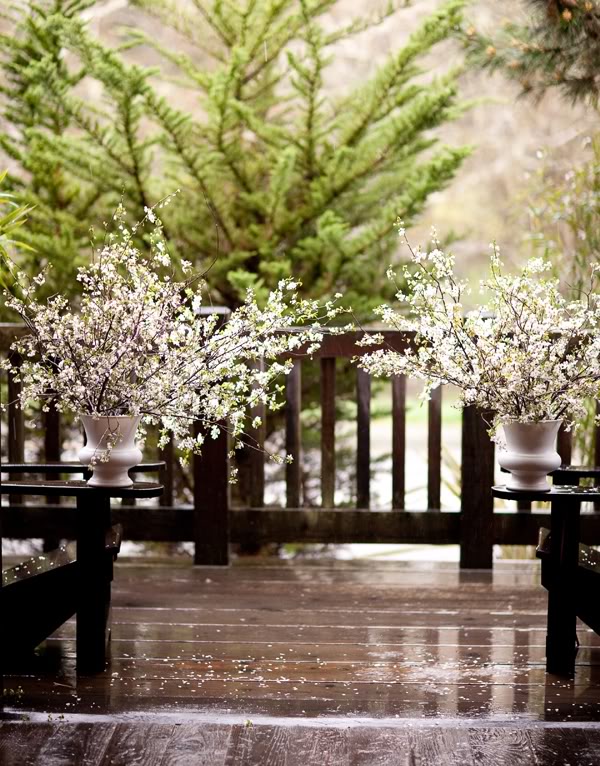 Beautiful blooming branches are perfect for Spring weddings as shown above