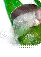 clip_image032