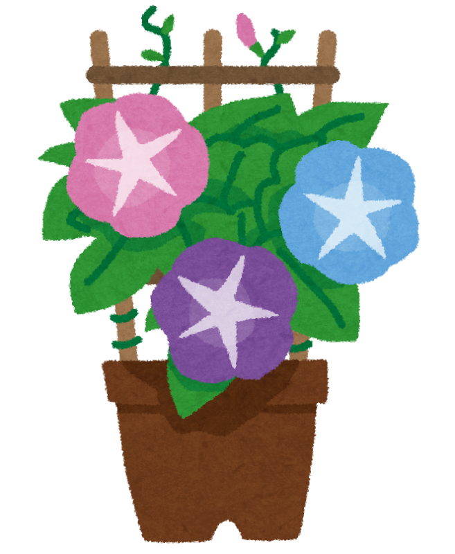 朝顔の鉢植えのイラスト かわいいフリー素材集 いらすとや 朝顔の鉢植えのイラスト かわいいフリー素材集 いらすとや