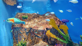 北海道 おたる水族館