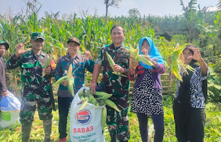 Satgas Citarum Sektor 3 di Sub 3 Panen Jagung Hasil Aplikasi BIOS 44 DC.