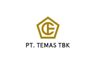 Lowongan Kerja Finance and Accounting Intern di PT TEMAS Tbk