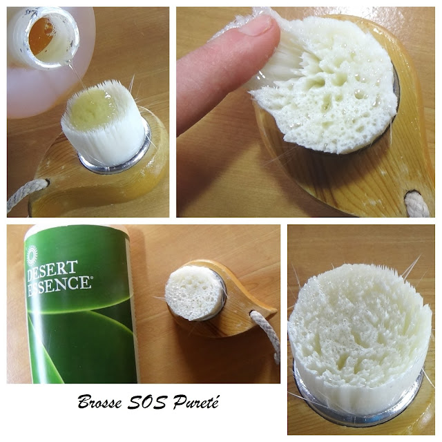 brosse sos pureté