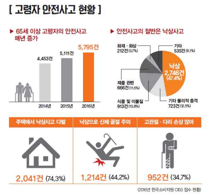 65세 이상 고령자 안전사고 사례 분석 결과