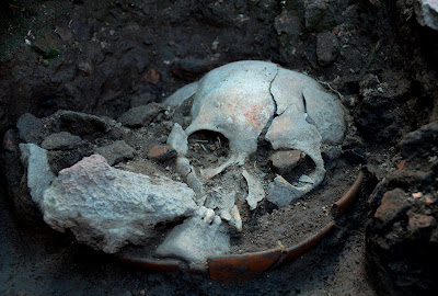 500-year old sull of decapitated individual found in Mexico