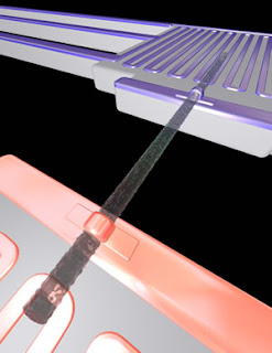 Rough silicon nanowires synthesized by Berkeley Lab researchers