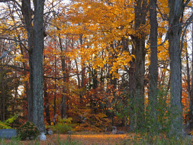 autumn colors