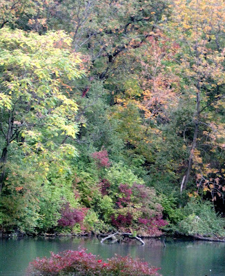 Early Fall Colors in Central Park New York City The Pond