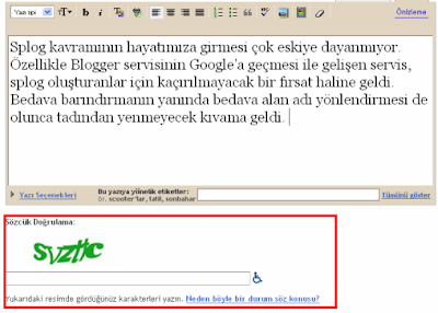 Spam blog yazı gönderme paneli